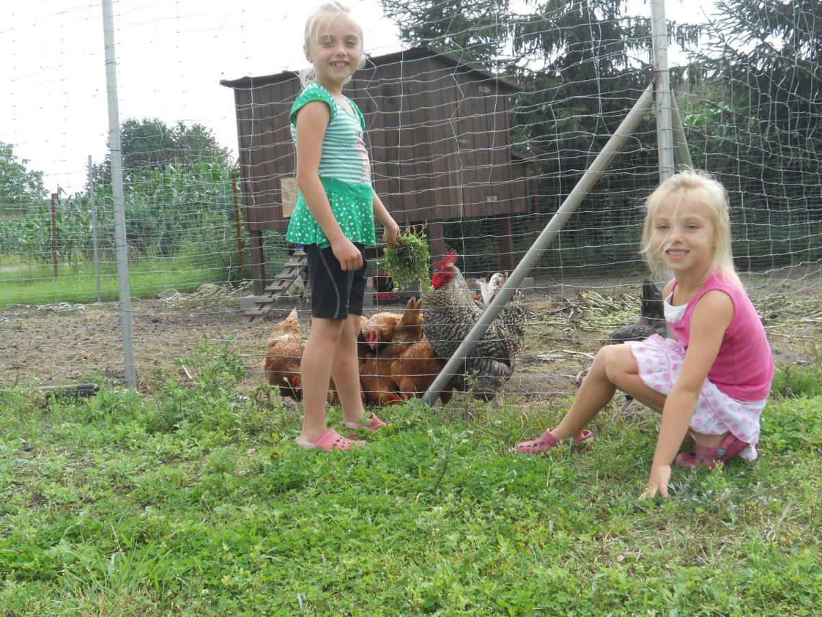 Willa Agroturystyka Borówka Maly Dolsk Zewnętrze zdjęcie